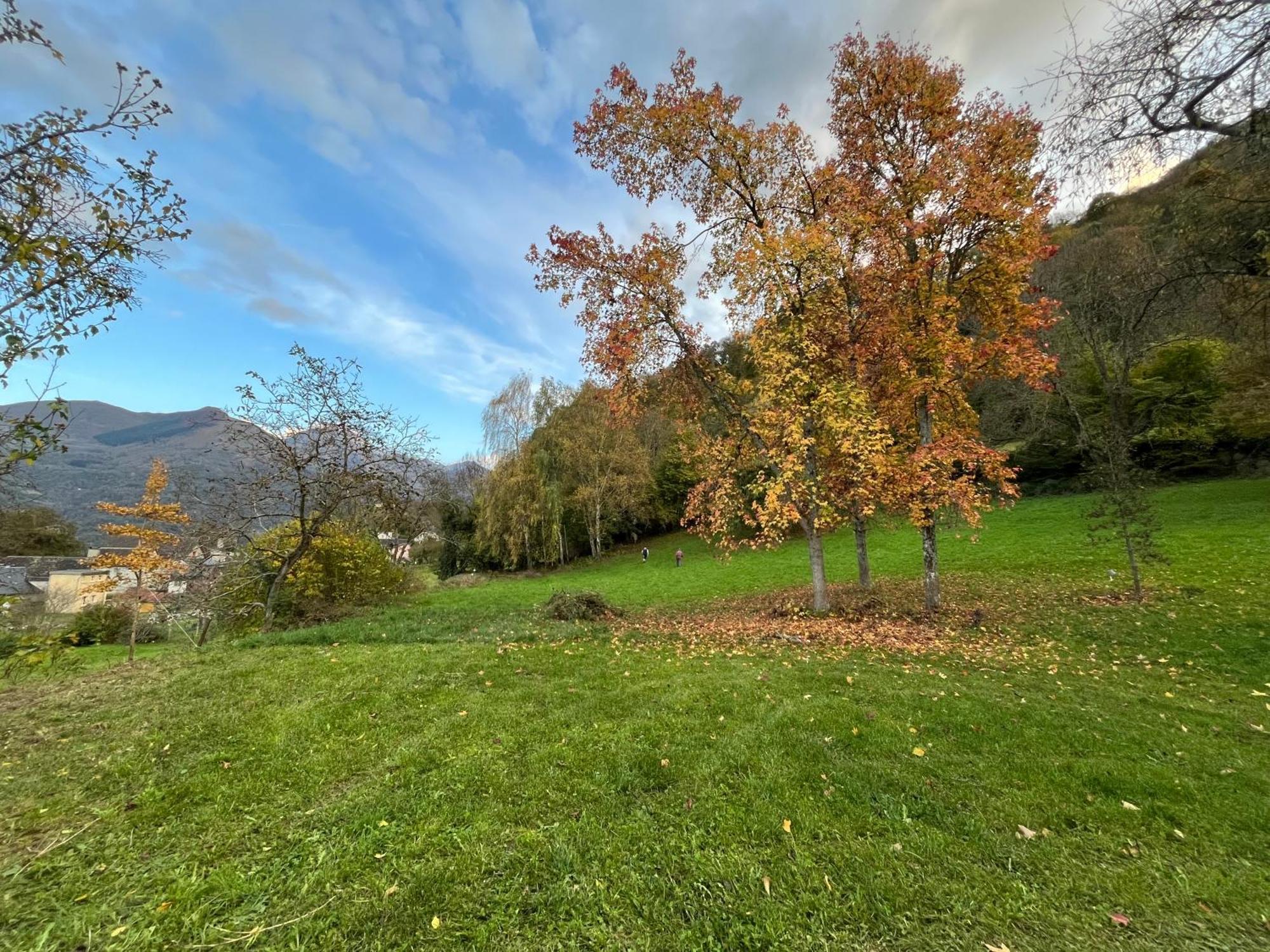 La Mayzou Del Prat Saint-Savin  Kültér fotó